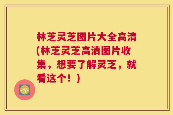 林芝灵芝图片大全高清(林芝灵芝高清图片收集,想要了解灵芝,就看这个!) 林芝灵芝图片大全高清(林芝灵芝高清图片收集,想要了解灵芝,就看这个!)