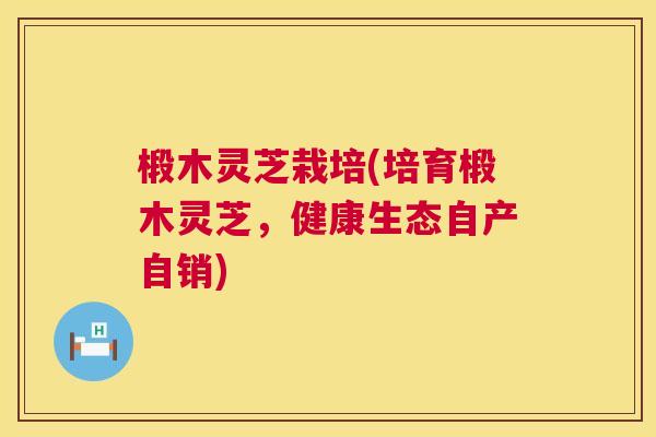 椴木灵芝栽培(培育椴木灵芝，健康生态自产自销)