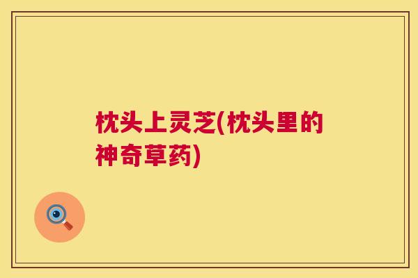 枕头上灵芝(枕头里的神奇草药) 枕头上灵芝(枕头里的神奇草药)