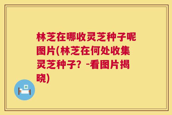 林芝在哪收灵芝种子呢图片(林芝在何处收集灵芝种子？-看图片揭晓)