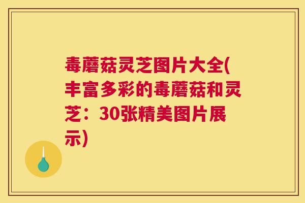 毒蘑菇灵芝图片大全(丰富多彩的毒蘑菇和灵芝：30张精美图片展示)