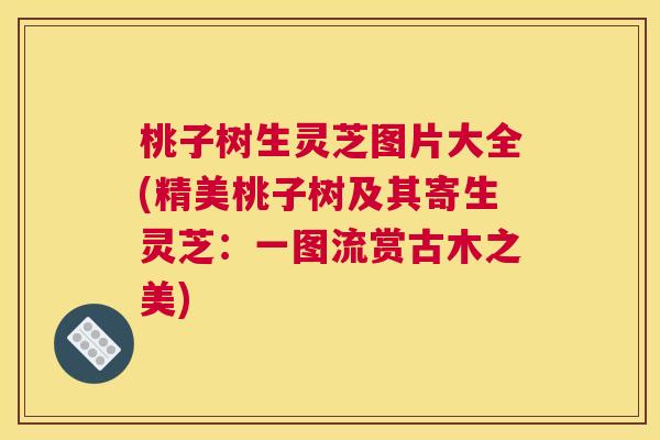 桃子树生灵芝图片大全(精美桃子树及其寄生灵芝：一图流赏古木之美)