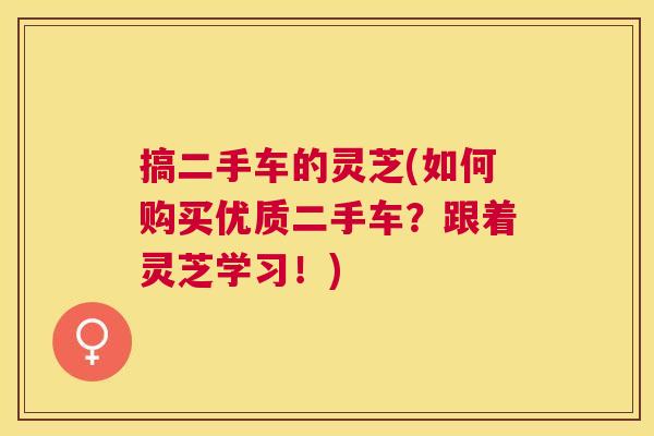 搞二手车的灵芝(如何购买优质二手车？跟着灵芝学习！)