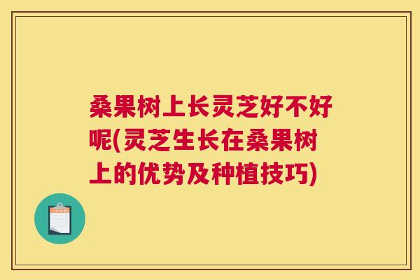 桑果树上长灵芝好不好呢(灵芝生长在桑果树上的优势及种植技巧)