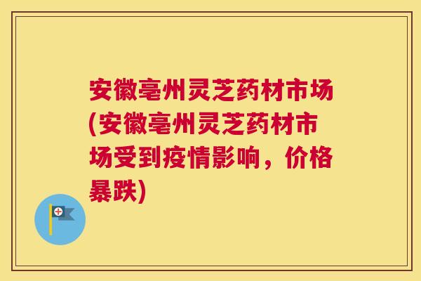 安徽亳州灵芝药材市场(安徽亳州灵芝药材市场受到疫情影响，价格暴跌)