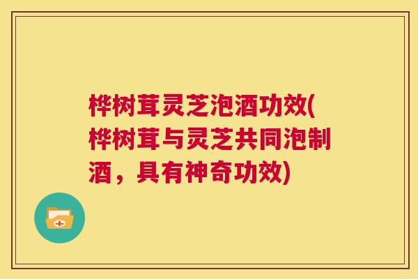 桦树茸灵芝泡酒功效(桦树茸与灵芝共同泡制酒，具有神奇功效)