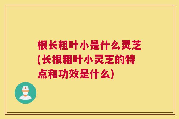 根长粗叶小是什么灵芝(长根粗叶小灵芝的特点和功效是什么) 根长粗叶小是什么灵芝(长根粗叶小灵芝的特点和功效是什么)