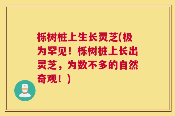 栎树桩上生长灵芝(极为罕见！栎树桩上长出灵芝，为数不多的自然奇观！)