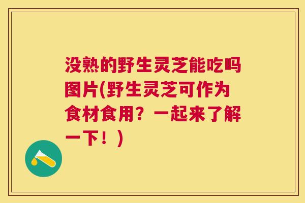 没熟的野生灵芝能吃吗图片(野生灵芝可作为食材食用?一起来了解一下!) 没熟的野生灵芝能吃吗图片(野生灵芝可作为食材食用?一起来了解一下!)