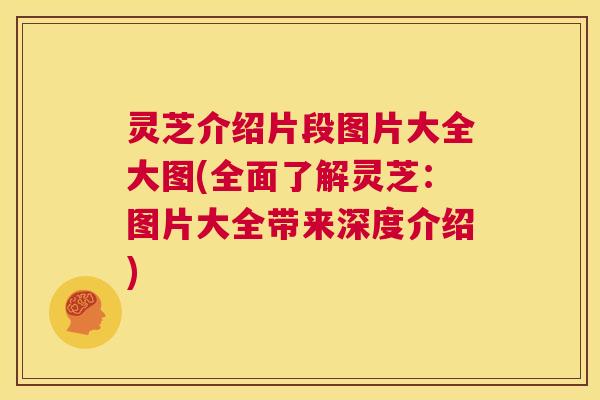 灵芝介绍片段图片大全大图(全面了解灵芝:图片大全带来深度介绍) 灵芝介绍片段图片大全大图(全面了解灵芝:图片大全带来深度介绍)