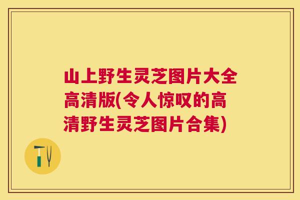 山上野生灵芝图片大全高清版(令人惊叹的高清野生灵芝图片合集)