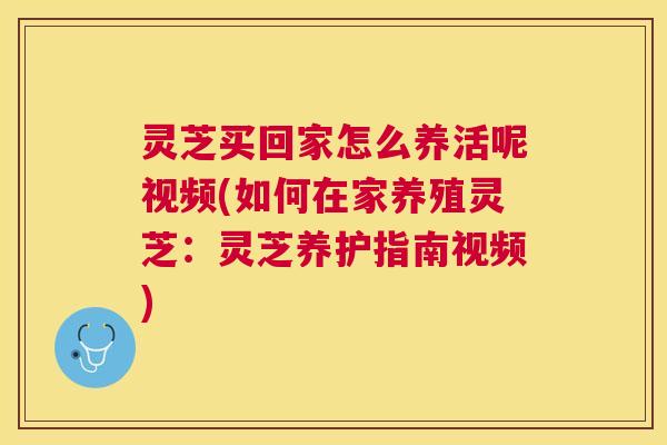灵芝买回家怎么养活呢视频(如何在家养殖灵芝：灵芝养护指南视频)