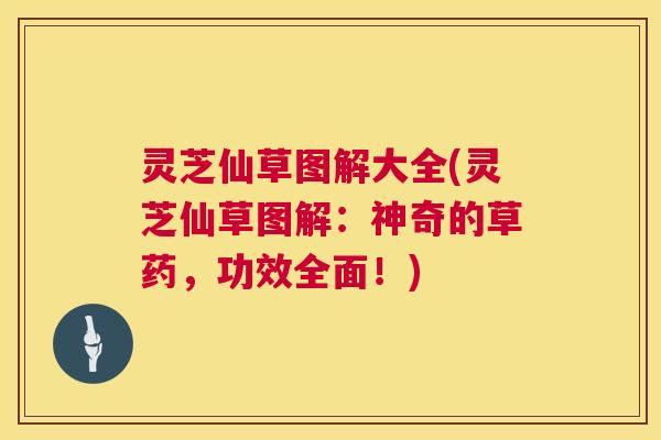灵芝仙草图解大全(灵芝仙草图解：神奇的草药，功效全面！)