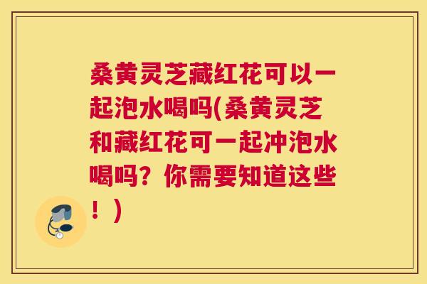 桑黄灵芝藏红花可以一起泡水喝吗(桑黄灵芝和藏红花可一起冲泡水喝吗？你需要知道这些！)
