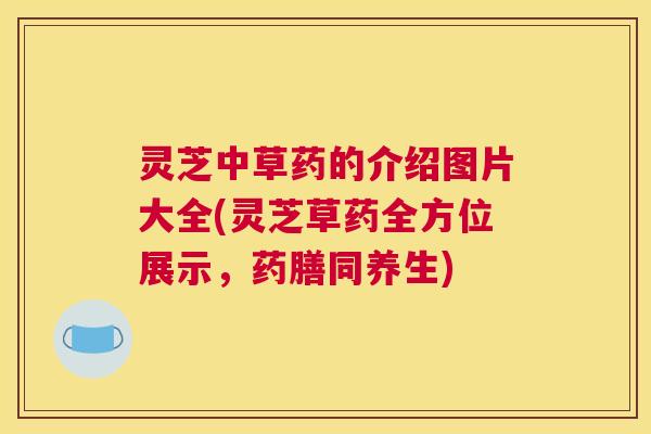 灵芝中草药的介绍图片大全(灵芝草药全方位展示，药膳同养生)