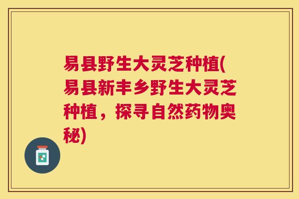 易县野生大灵芝种植(易县新丰乡野生大灵芝种植，探寻自然药物奥秘)