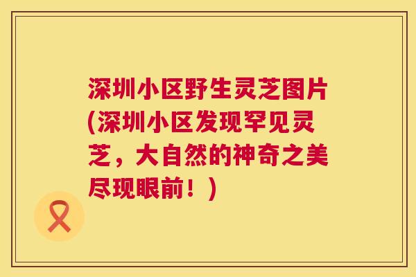 深圳小区野生灵芝图片(深圳小区发现罕见灵芝,大自然的神奇之美尽现眼前!) 深圳小区野生灵芝图片(深圳小区发现罕见灵芝,大自然的神奇之美尽现眼前!)