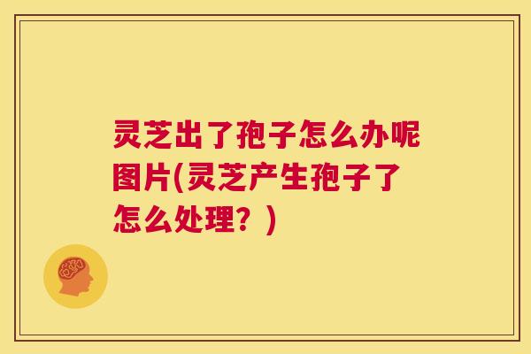 灵芝出了孢子怎么办呢图片(灵芝产生孢子了怎么处理？)