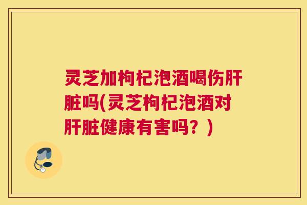 灵芝加枸杞泡酒喝伤肝脏吗(灵芝枸杞泡酒对肝脏健康有害吗？)