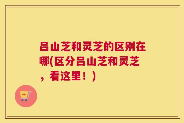 吕山芝和灵芝的区别在哪(区分吕山芝和灵芝，看这里！)