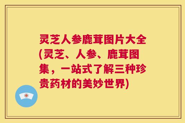 灵芝人参鹿茸图片大全(灵芝、人参、鹿茸图集，一站式了解三种珍贵药材的美妙世界)