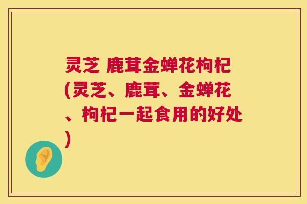 灵芝 鹿茸金蝉花枸杞(灵芝、鹿茸、金蝉花、枸杞一起食用的好处)