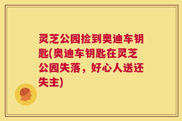 灵芝公园捡到奥迪车钥匙(奥迪车钥匙在灵芝公园失落，好心人送还失主)