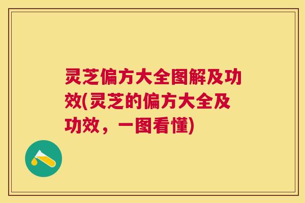 灵芝偏方大全图解及功效(灵芝的偏方大全及功效，一图看懂)