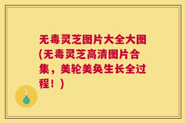 无毒灵芝图片大全大图(无毒灵芝高清图片合集，美轮美奂生长全过程！)
