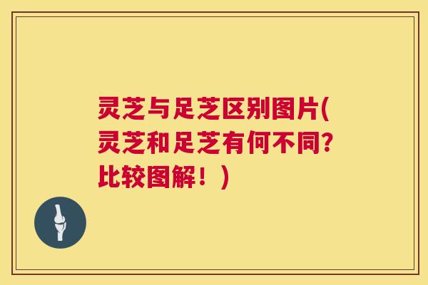 灵芝与足芝区别图片(灵芝和足芝有何不同？比较图解！)