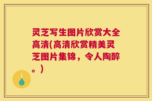 灵芝写生图片欣赏大全高清(高清欣赏精美灵芝图片集锦，令人陶醉。)