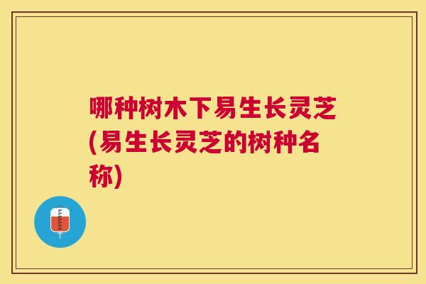 哪种树木下易生长灵芝(易生长灵芝的树种名称)