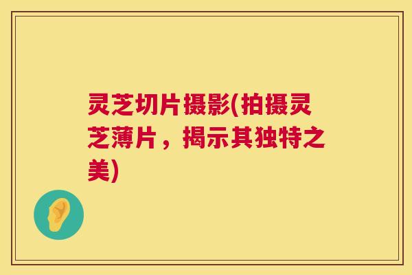 灵芝切片摄影(拍摄灵芝薄片，揭示其独特之美)