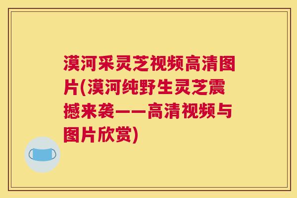 漠河采灵芝视频高清图片(漠河纯野生灵芝震撼来袭——高清视频与图片欣赏)