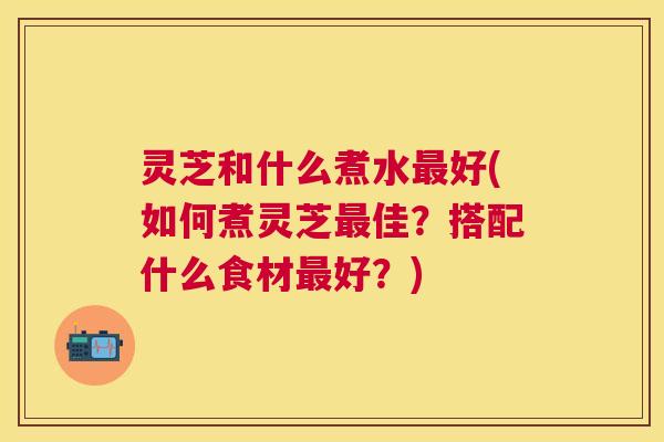 灵芝和什么煮水好(如何煮灵芝佳?搭配什么食材好?) 灵芝和什么煮水好(如何煮灵芝佳?搭配什么食材好?)