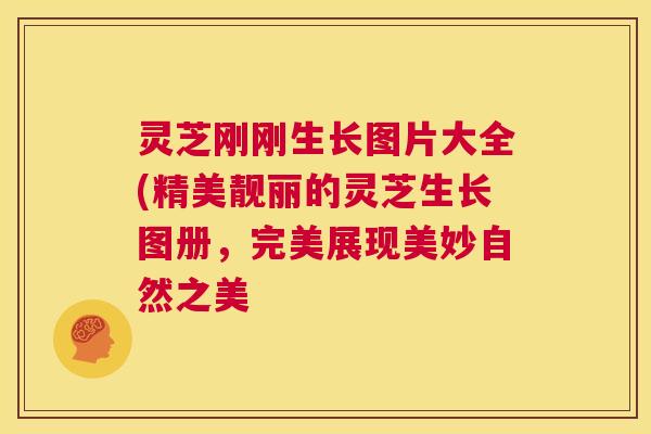 灵芝刚刚生长图片大全(精美靓丽的灵芝生长图册,完美展现美妙自然之美 灵芝刚刚生长图片大全(精美靓丽的灵芝生长图册,完美展现美妙自然之美