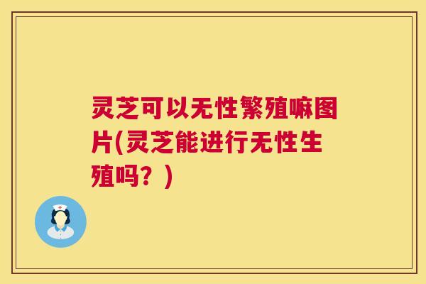 灵芝可以无性繁殖嘛图片(灵芝能进行无性生殖吗？)