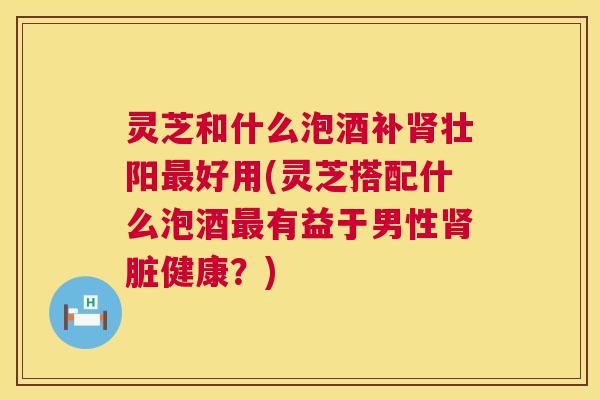 灵芝和什么泡酒补肾壮阳最好用(灵芝搭配什么泡酒最有益于男性肾脏健康？)