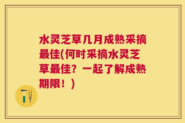 水灵芝草几月成熟采摘最佳(何时采摘水灵芝草最佳？一起了解成熟期限！)