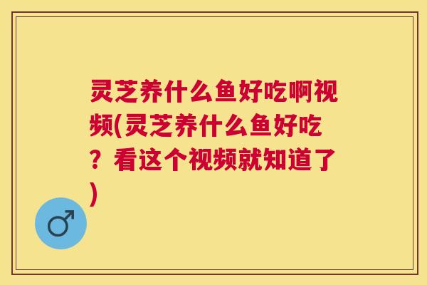 灵芝养什么鱼好吃啊视频(灵芝养什么鱼好吃？看这个视频就知道了)