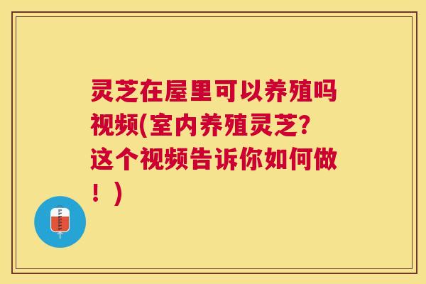 灵芝在屋里可以养殖吗视频(室内养殖灵芝?这个视频告诉你如何做!) 灵芝在屋里可以养殖吗视频(室内养殖灵芝?这个视频告诉你如何做!)