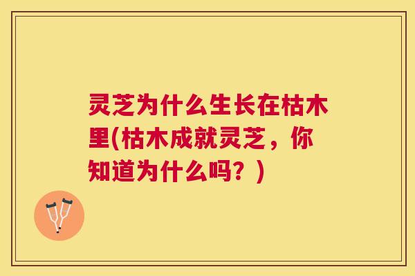 灵芝为什么生长在枯木里(枯木成就灵芝,你知道为什么吗?) 灵芝为什么生长在枯木里(枯木成就灵芝,你知道为什么吗?)