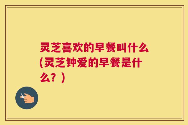 灵芝喜欢的早餐叫什么(灵芝钟爱的早餐是什么？)