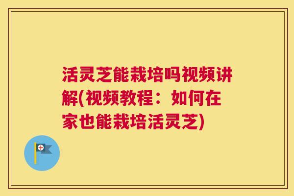 活灵芝能栽培吗视频讲解(视频教程：如何在家也能栽培活灵芝)