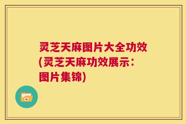 灵芝天麻图片大全功效(灵芝天麻功效展示：图片集锦)