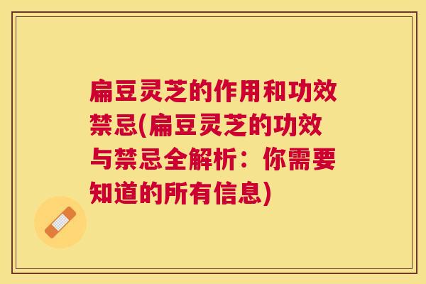 扁豆灵芝的作用和功效禁忌(扁豆灵芝的功效与禁忌全解析：你需要知道的所有信息)