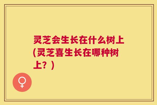 灵芝会生长在什么树上(灵芝喜生长在哪种树上？)