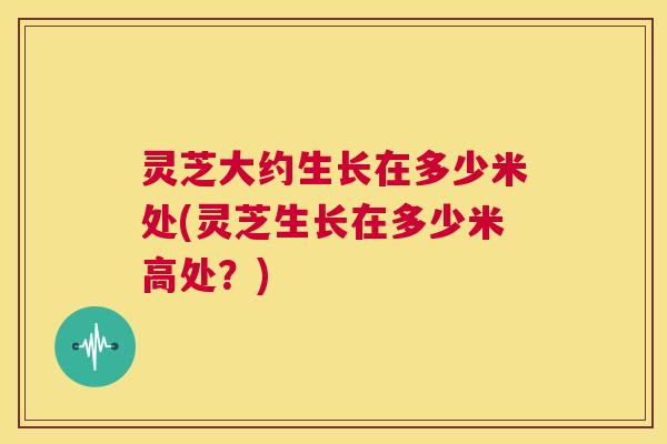 灵芝大约生长在多少米处(灵芝生长在多少米高处？)