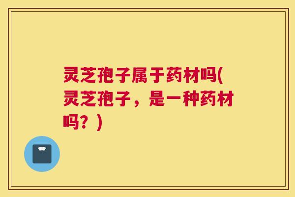 灵芝孢子属于药材吗(灵芝孢子，是一种药材吗？)