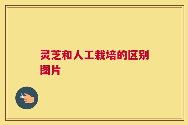 灵芝和人工栽培的区别图片